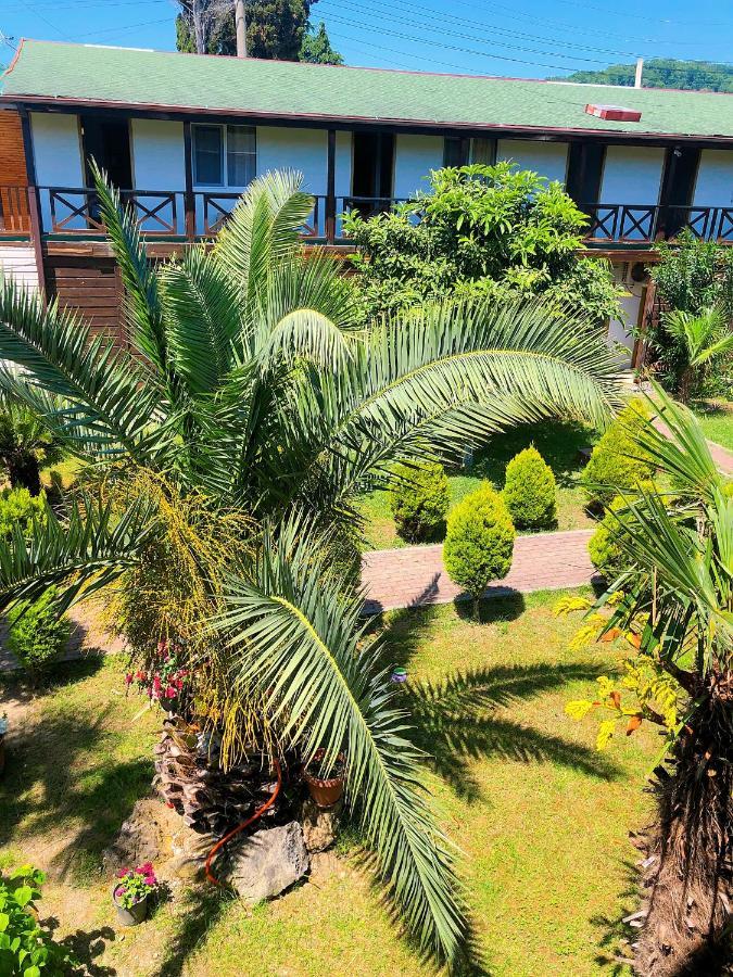 Guest House Alashara Pizunda Bagian luar foto