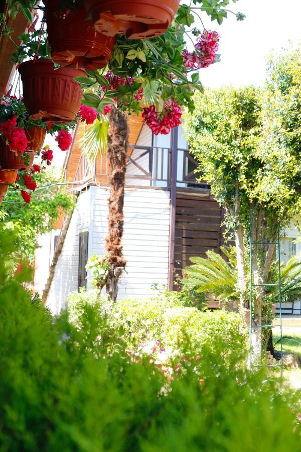 Guest House Alashara Pizunda Bagian luar foto