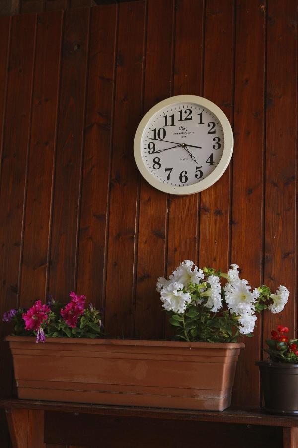 Guest House Alashara Pizunda Bagian luar foto