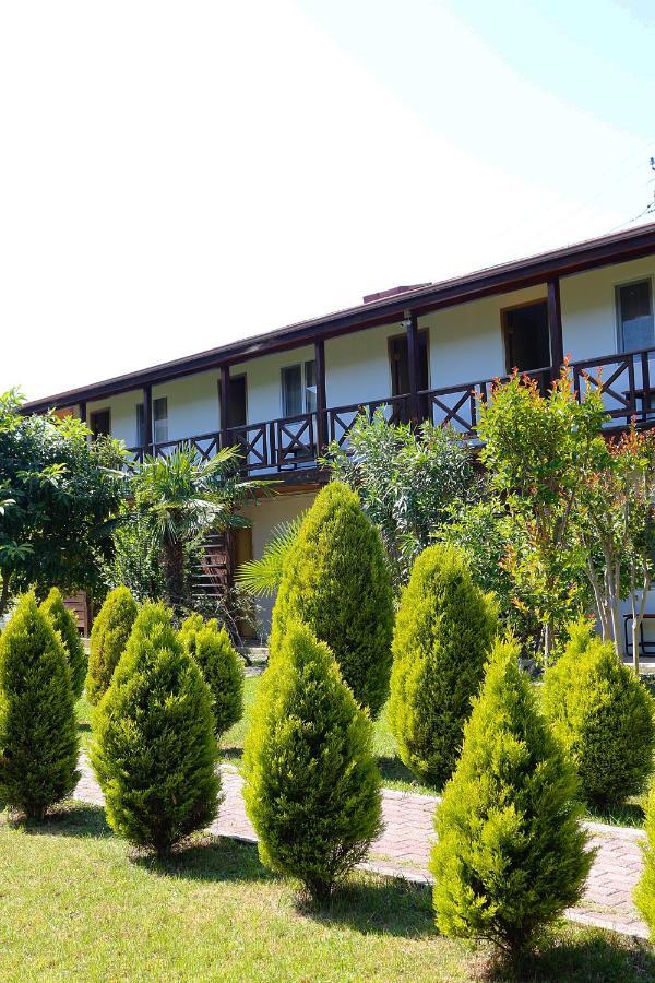 Guest House Alashara Pizunda Bagian luar foto