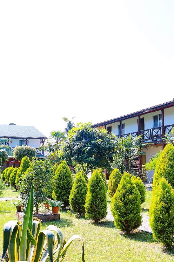 Guest House Alashara Pizunda Bagian luar foto
