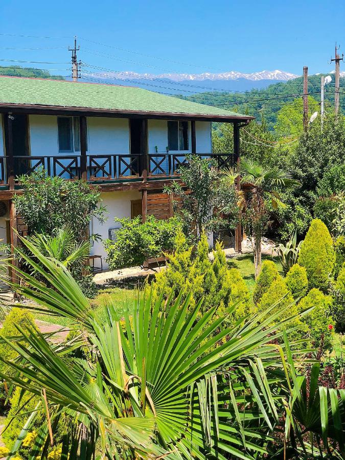 Guest House Alashara Pizunda Bagian luar foto