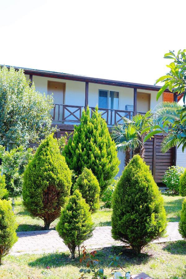 Guest House Alashara Pizunda Bagian luar foto