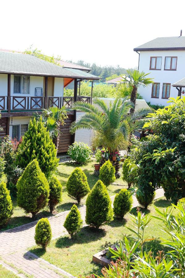 Guest House Alashara Pizunda Bagian luar foto